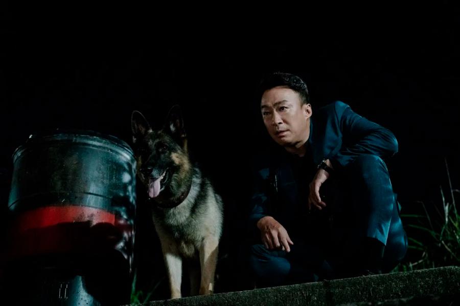 Las aventuras del agente Dolittle